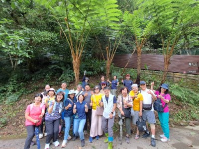 稀有原生蕨類在地扎根復育行動圓滿達成。 (林業保育署新竹分署提供)